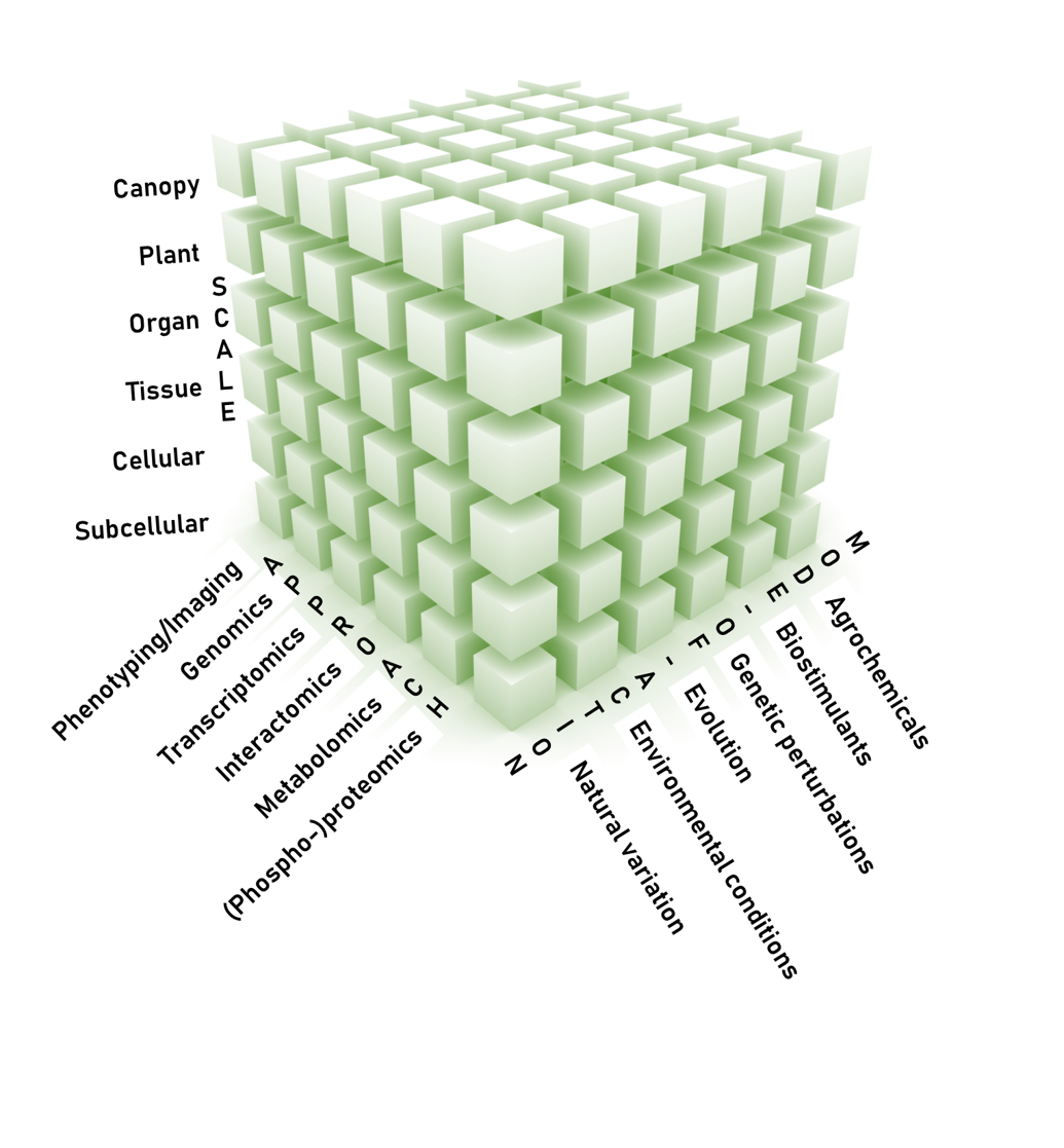 PSB’s cube of molecular, multidimensional, and modular plant research.
