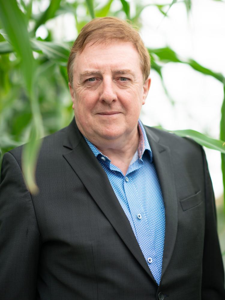 Dirk Inze
